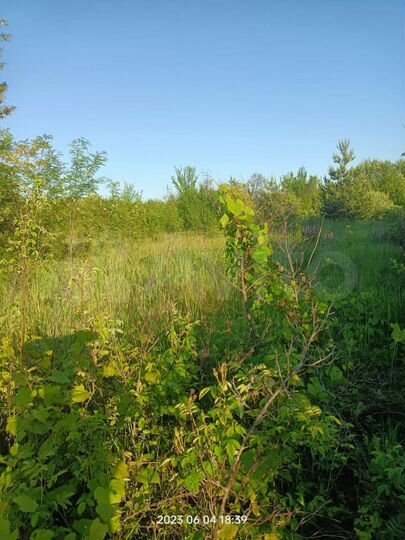 Дача 25 м² на участке 10 сот.