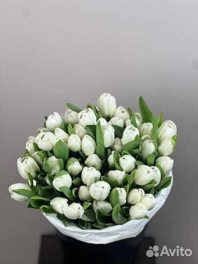 Тюльпаны в москве