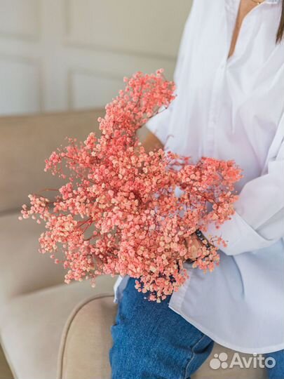 Сухоцветы букет