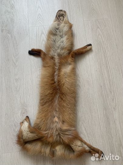 Лисья шкура