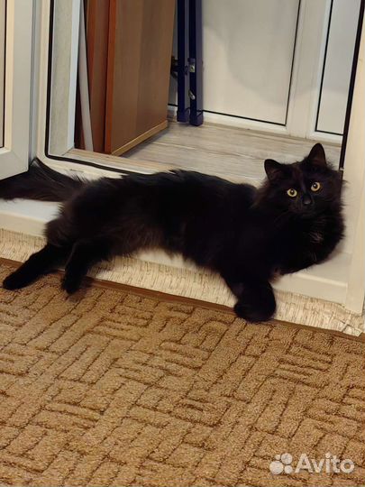 Велотренажер