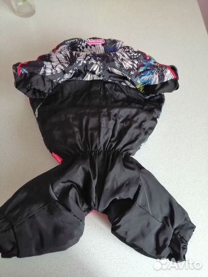 Одежда для собак мелких пород