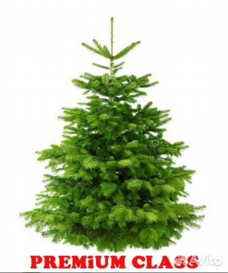 Елка новогодняя