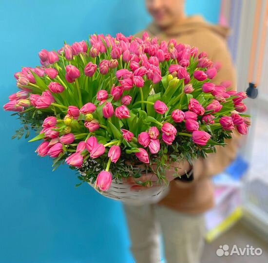 Тюльпаны