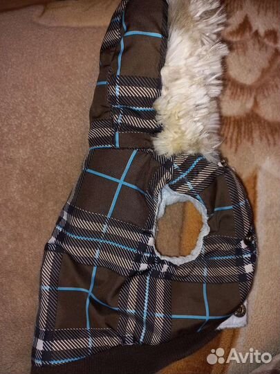 Одежда для маленьких собак