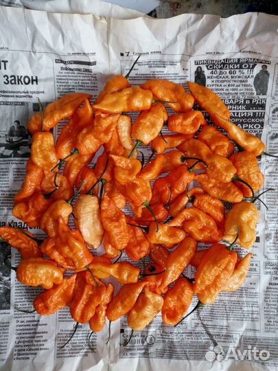 Свежие острые перцы