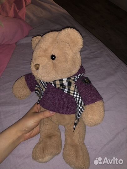 Медведь Stone island