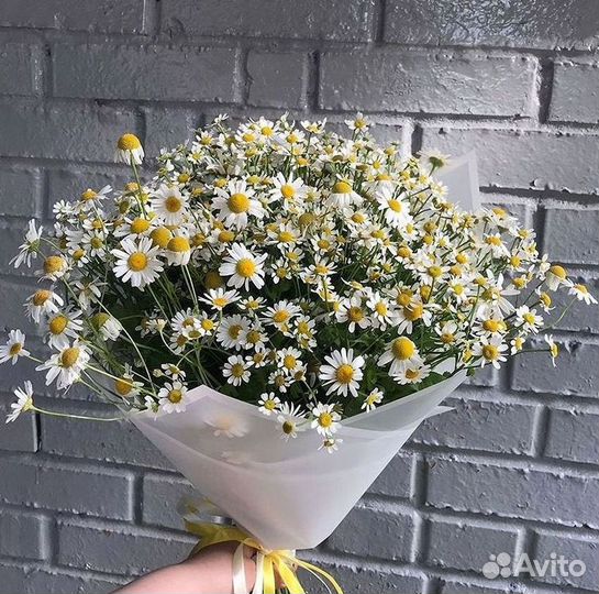 Ромашки Букет из ромашек доставка