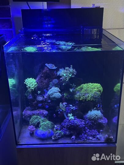 Морской аквариум