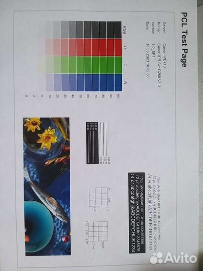 Принтер Canon image press C710