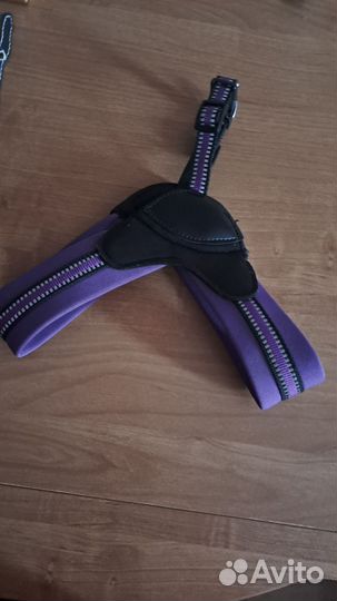 Ошейник и шлейка