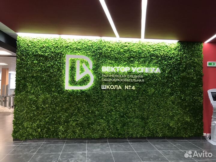 Панели из мха для декора по вашим размерам