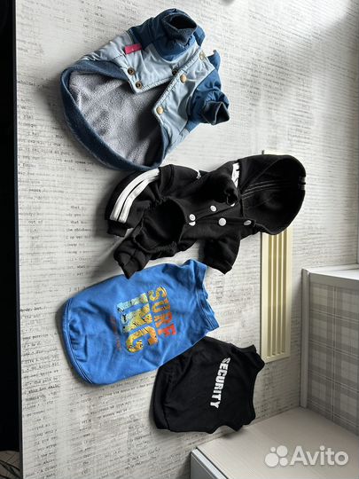 Одежда для собак мелких пород