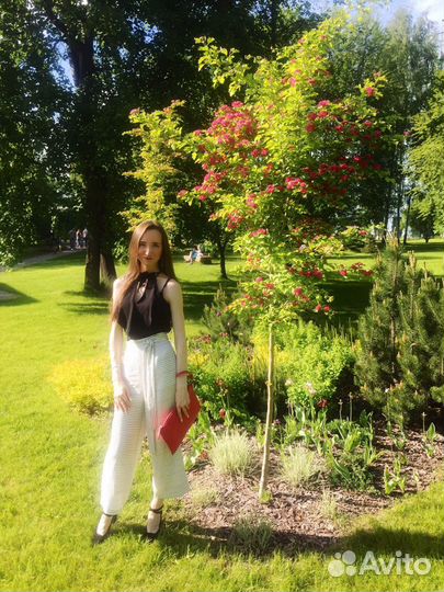 Администратор / Менеджер