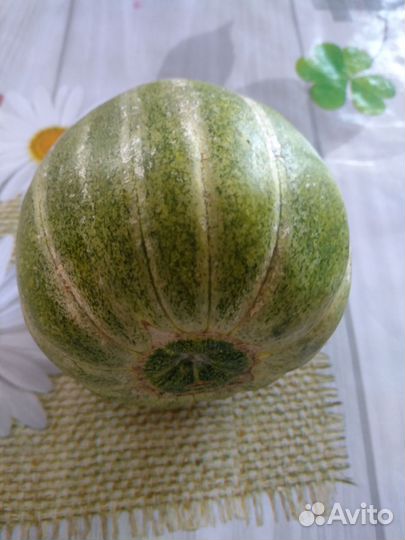 Семена.Огурдыня Лартон