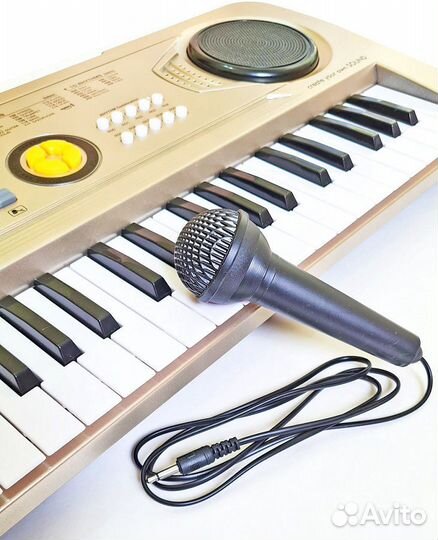 Синтезатор BigFun с микрофоном и AUX