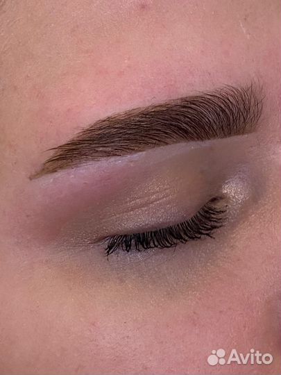 Мастер бровист