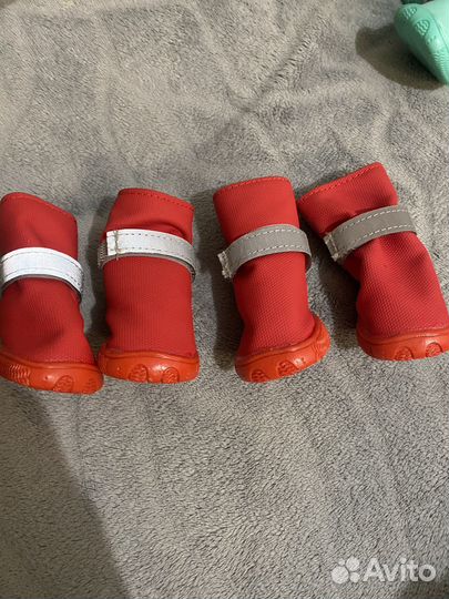 Ботинки для собак