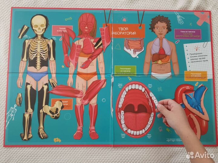 Детская энциклопедия с магнитными пазлами