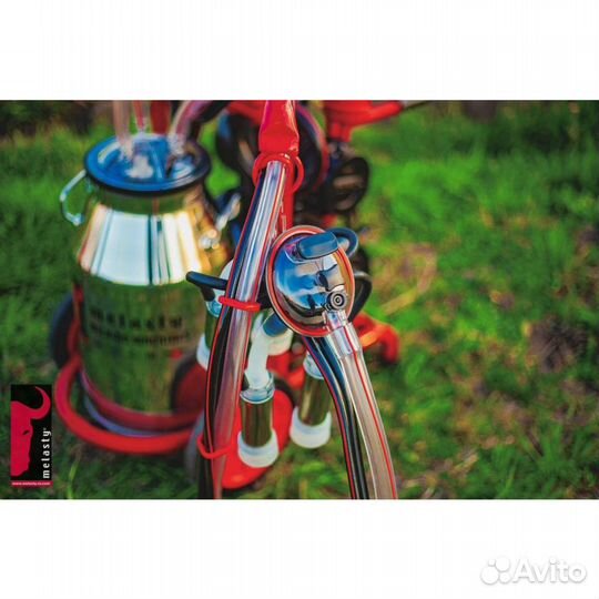 Доильный аппарат для коров Меласти Melasty TK2-PS