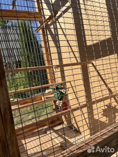 Большая клетка для попугая / птиц / разведения