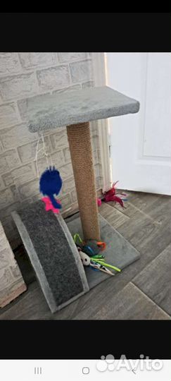 Когтеточка для кошек