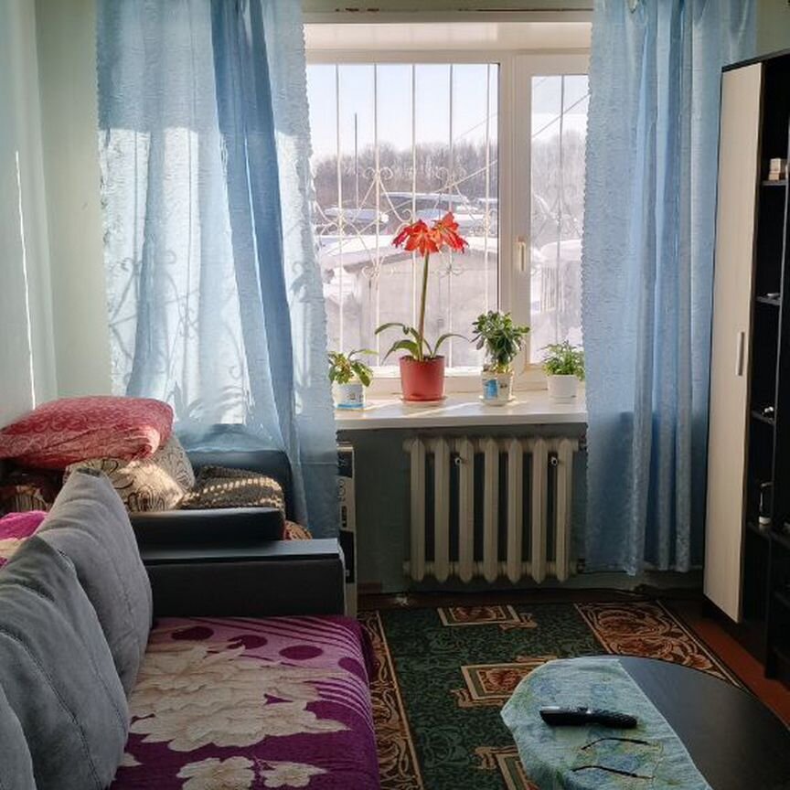 Квартира 1-комн. 28.8 м² в Асино — фото 3