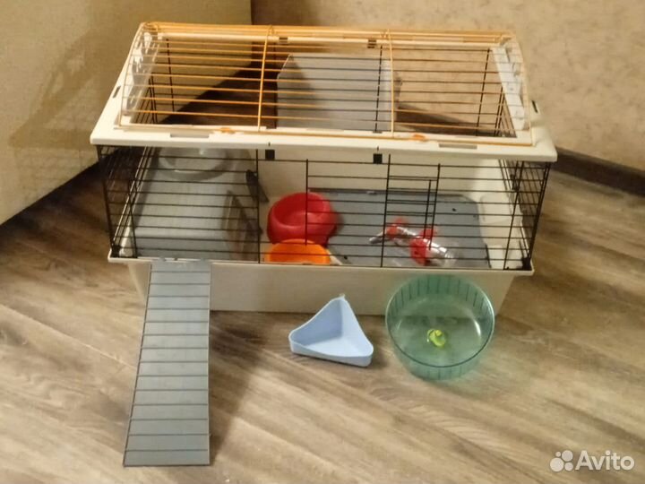 Клетка для морской свинки