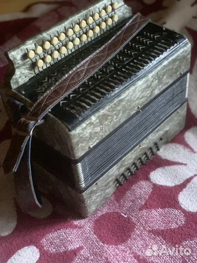 Гармонь чайка 2