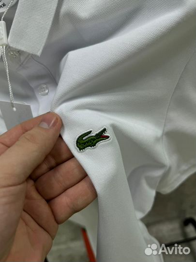 Поло Lacoste