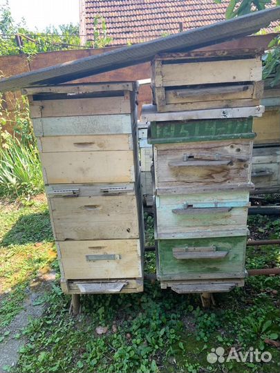 Улей для пчел бу