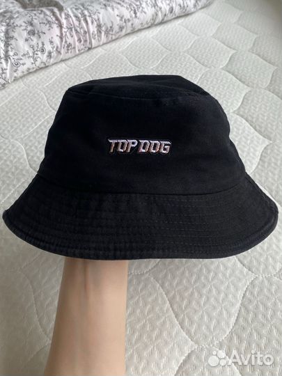 Панама top dog