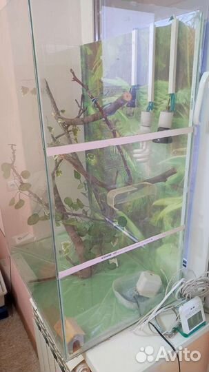 Террариум для рептилий бу