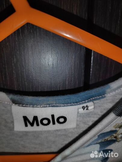 Molo