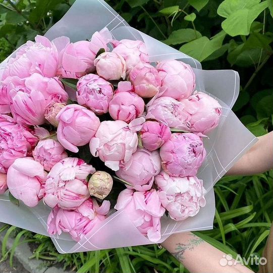 Пионы Цветы Доставка