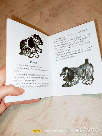 Про томку чарушин