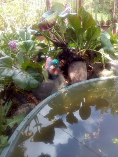 Дом 129 м² на участке 16 сот.