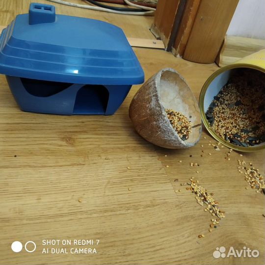 Новое Для Хомяка,домик,и птицы домашних питомцев