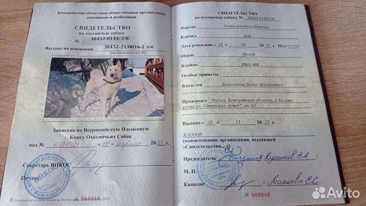 Кабель на вязку