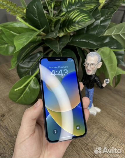 iPhone 12 mini, 256 ГБ