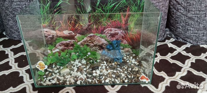 Аквариум