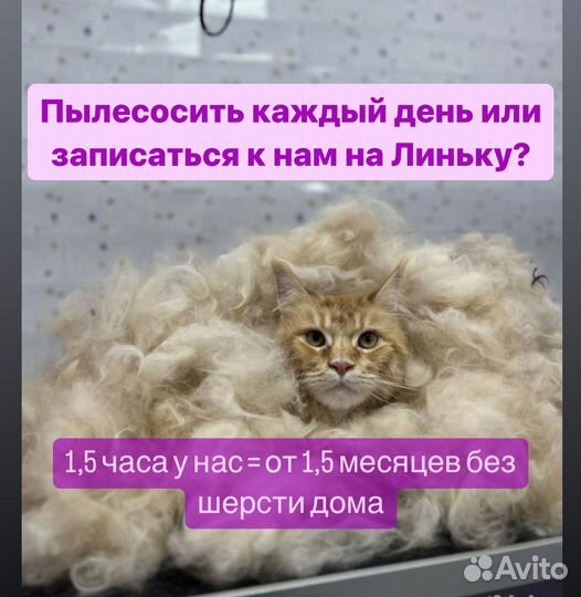 Экспресс линька собак и кошек