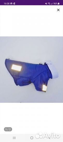 Одежда для собак
