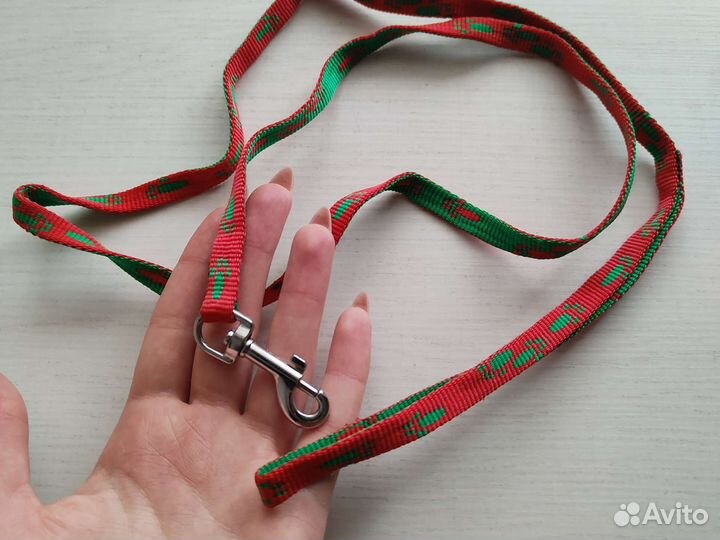 Одежда для собак