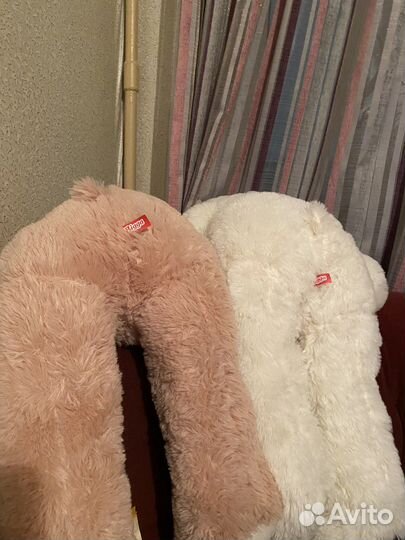 Собутыльницы на час