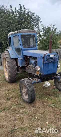 Трактор ЛТЗ Т-40, 1995