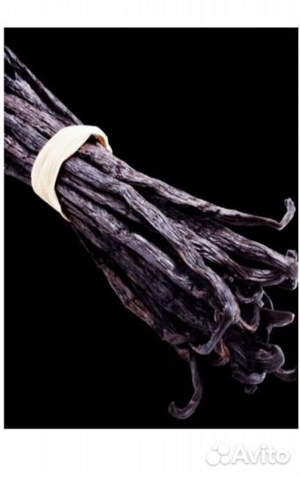 Yodeyma temis Вода парфюмерная 50 мл