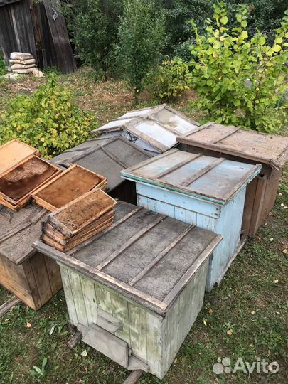 Ульи для пчел