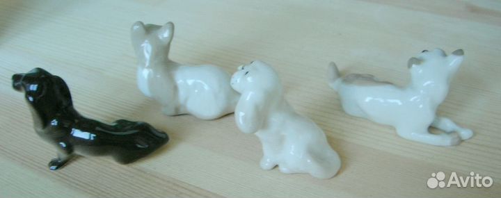 Собачки миниатюры лфз