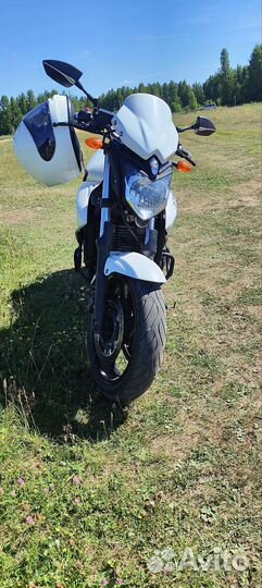 Yamaha xj6n